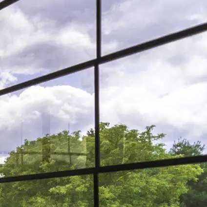 Close-up of Clear WeatherMaster vinyl windows in a Model 200 Sunroom, providing a perfectly sharp view of the green trees and sky.